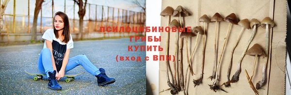 2c-b Касимов