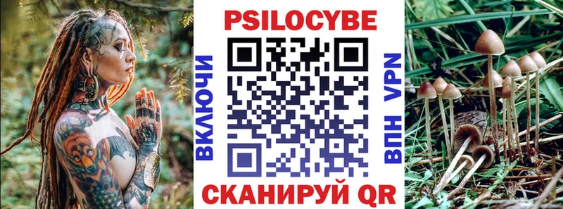 Галлюциногенные грибы Psilocybe  Купить  Белово 